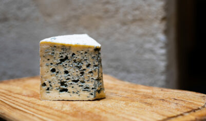 Bleu d'Auvergne Fermier Lait cru 500g