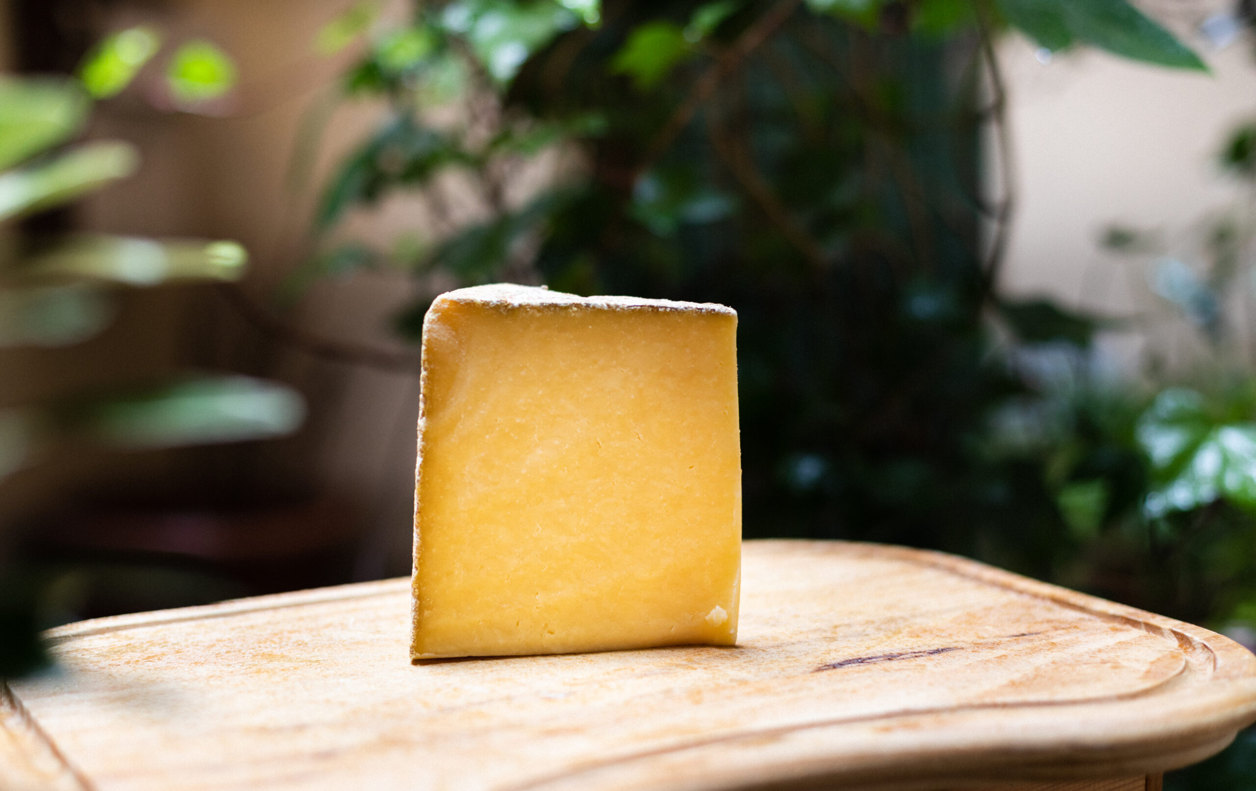 Accueil 38 Cantal Direct