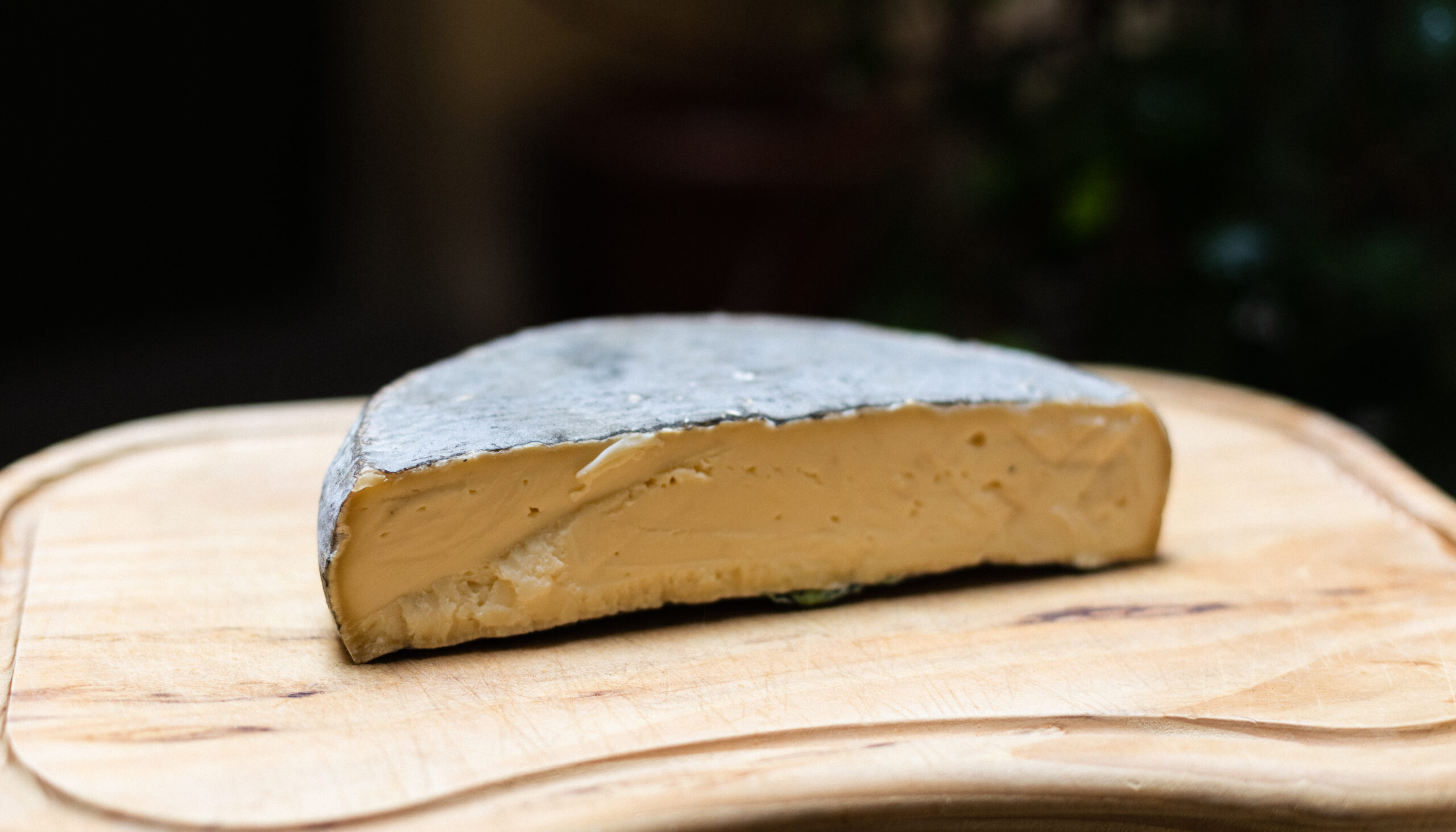 Accueil 35 Cantal Direct