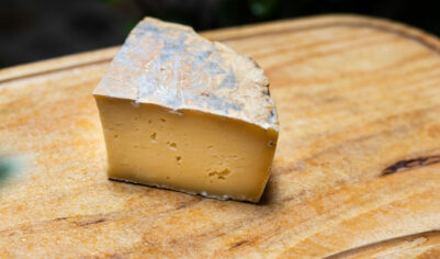 Saint Timothée Fermier Lait cru - affiné à la bière - 500g