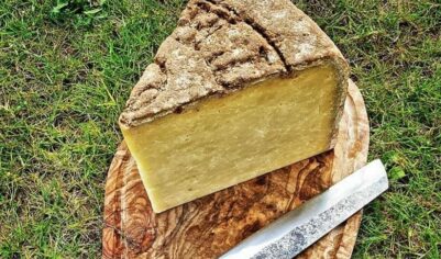 Salat Tradition Fermier Lait cru "l'Élite" 500G