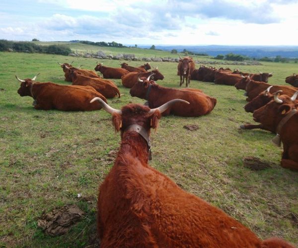 57C10858-52C0-4145-B40D-95B8D846909D