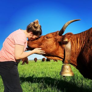 Charlotte vache salers