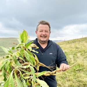 Jean-Jacques Vermeersch - Récolte de Gentiane