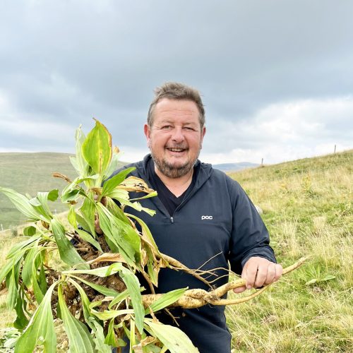 Jean-Jacques Vermeersch - Récolte de Gentiane