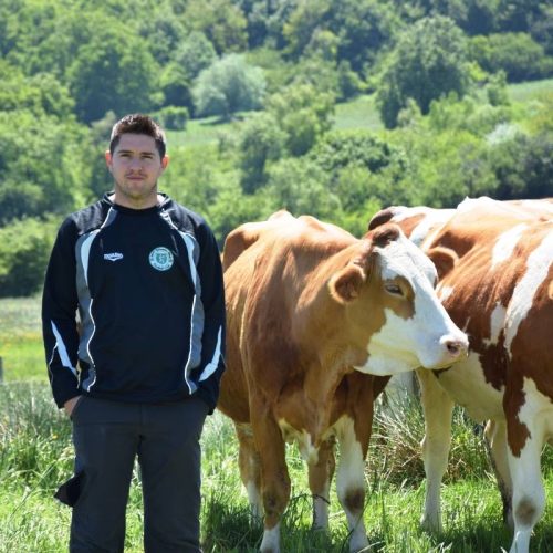 LOIC BAGUET VACHES CHAMPS