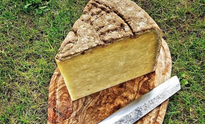 SALAT TRADITION LAIT DE SALERS 500G