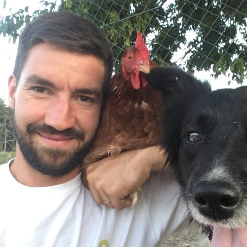 guillaume delcros poule chien