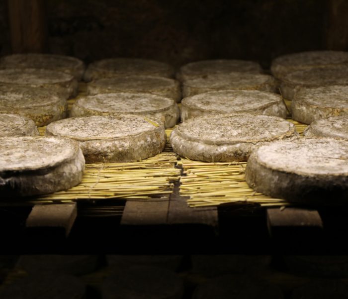 shutterstock_1524056174